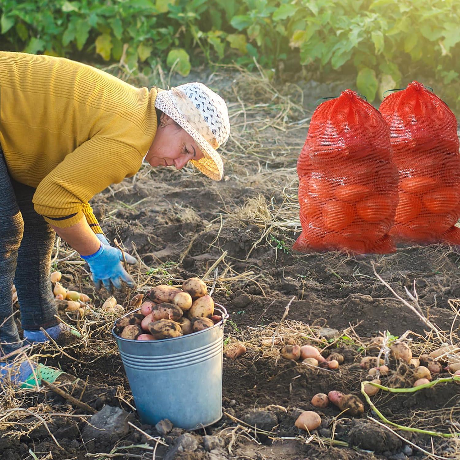 Paquete de 50 bolsas de malla SFIELCAPA 40x68 cm 16.3 kg