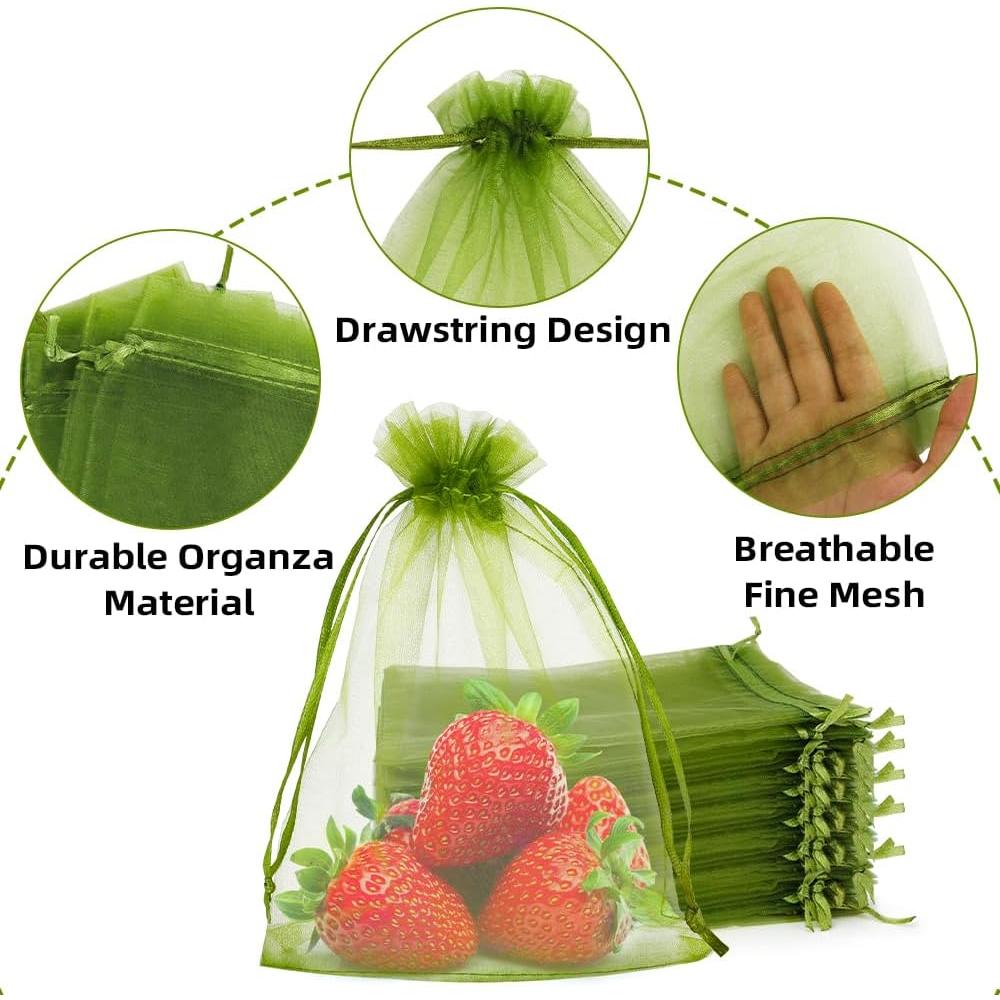 100 Bolsas de Protección de Frutas SythorYang 10x15 cm Verde
