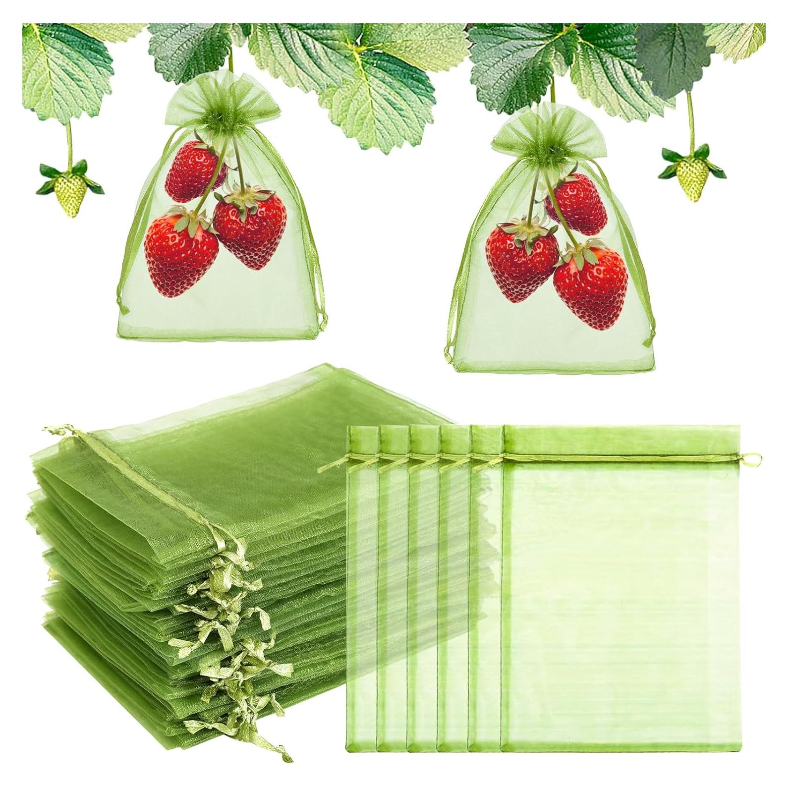 50 Bolsas de Protección de Frutas FloraSea 10x15 cm Verde