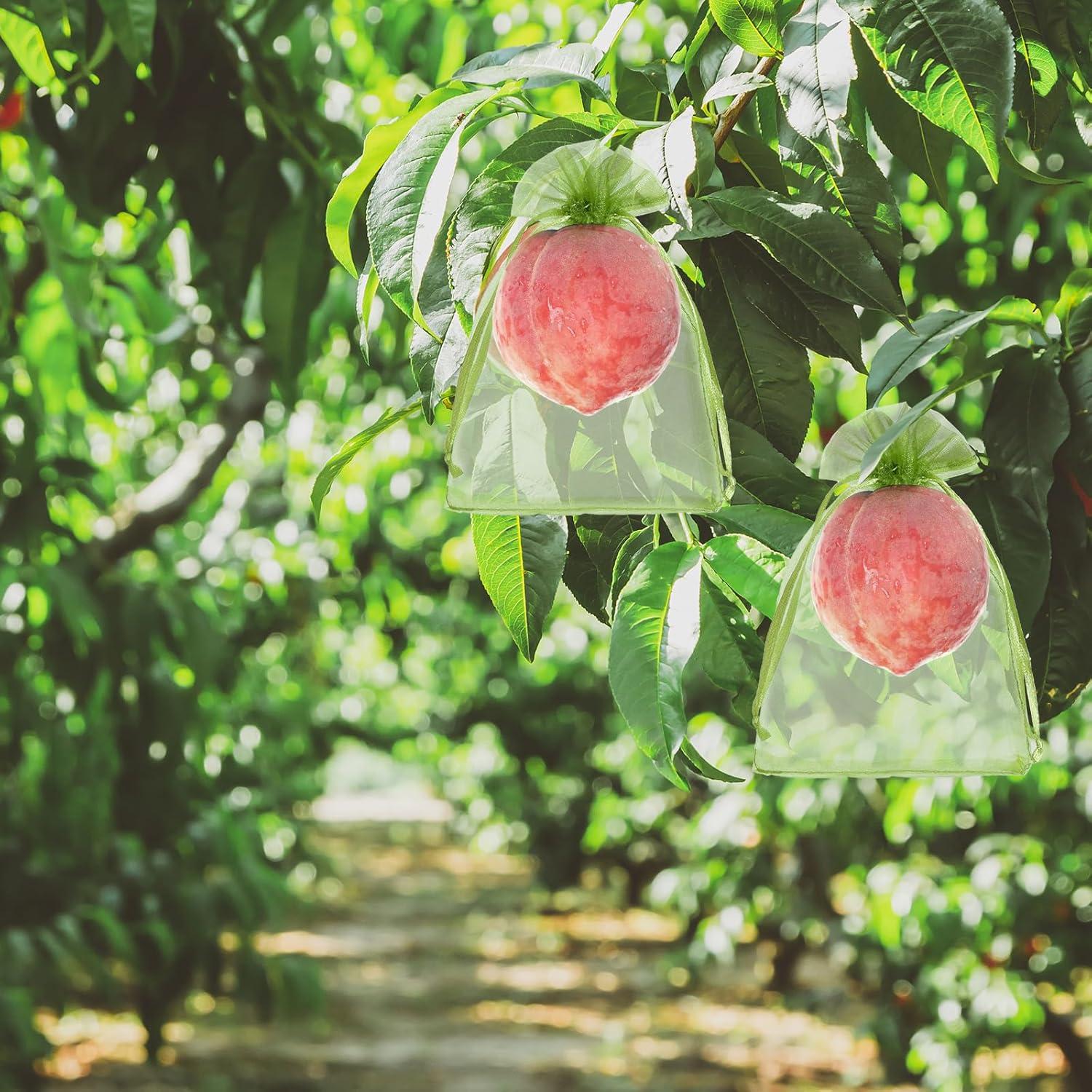 50 Bolsas de Protección de Frutas FloraSea 10x15 cm Verde
