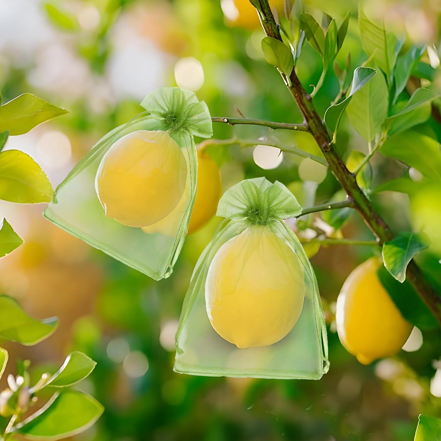 50 Bolsas de Protección de Frutas FloraSea 10x15 cm Verde