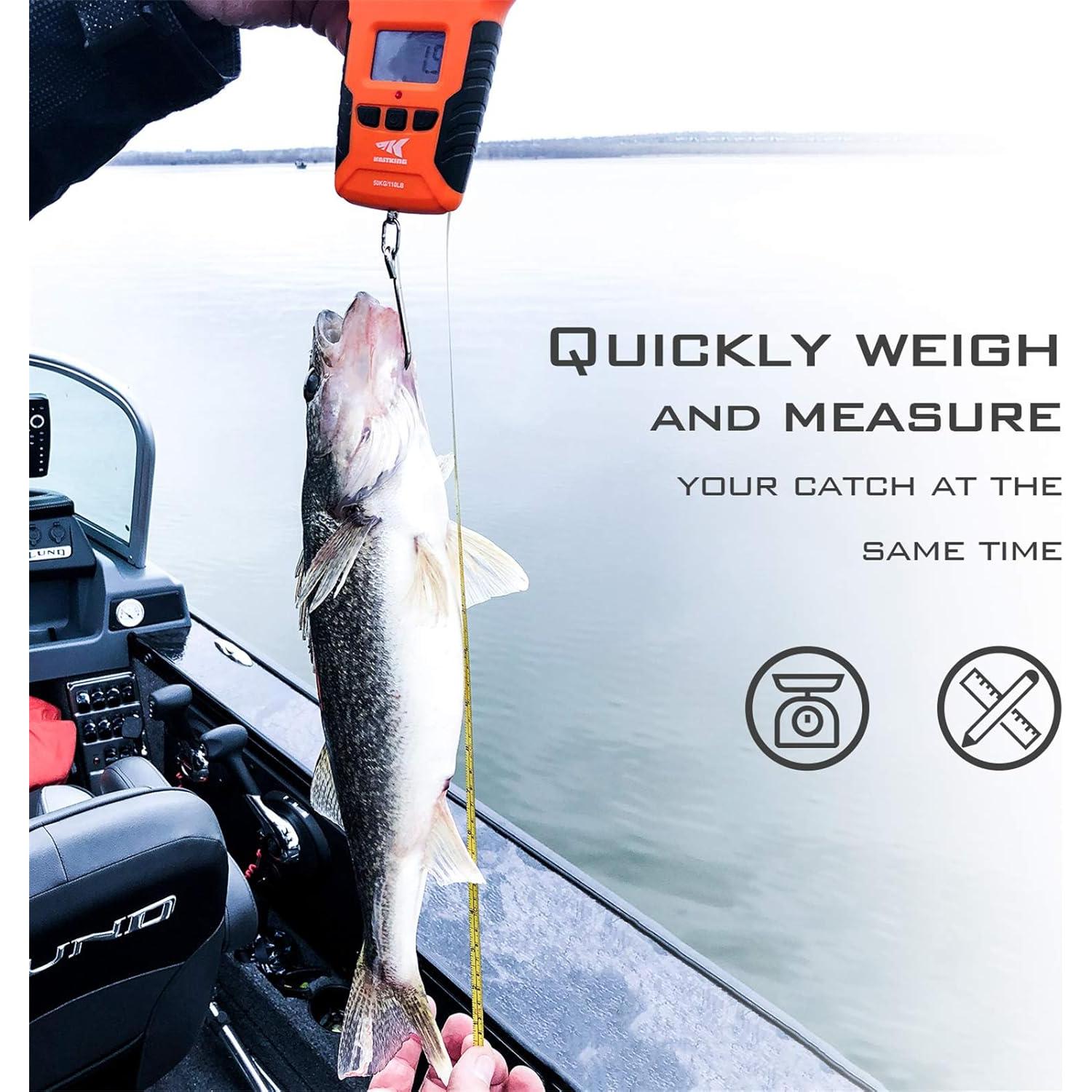 Balanza Digital KastKing 50kg Resistente al Agua con Regla