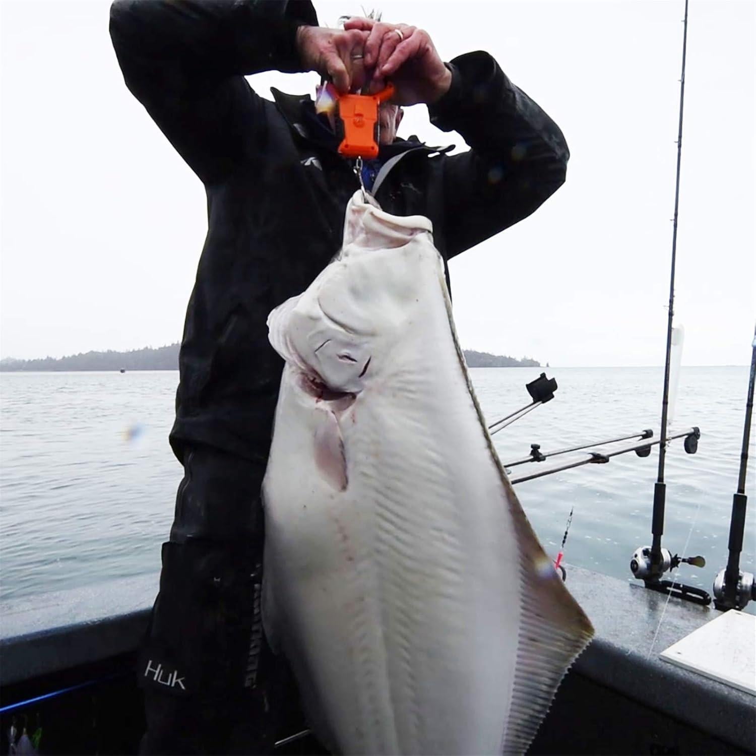 Balanza Digital KastKing 50kg Resistente al Agua con Regla