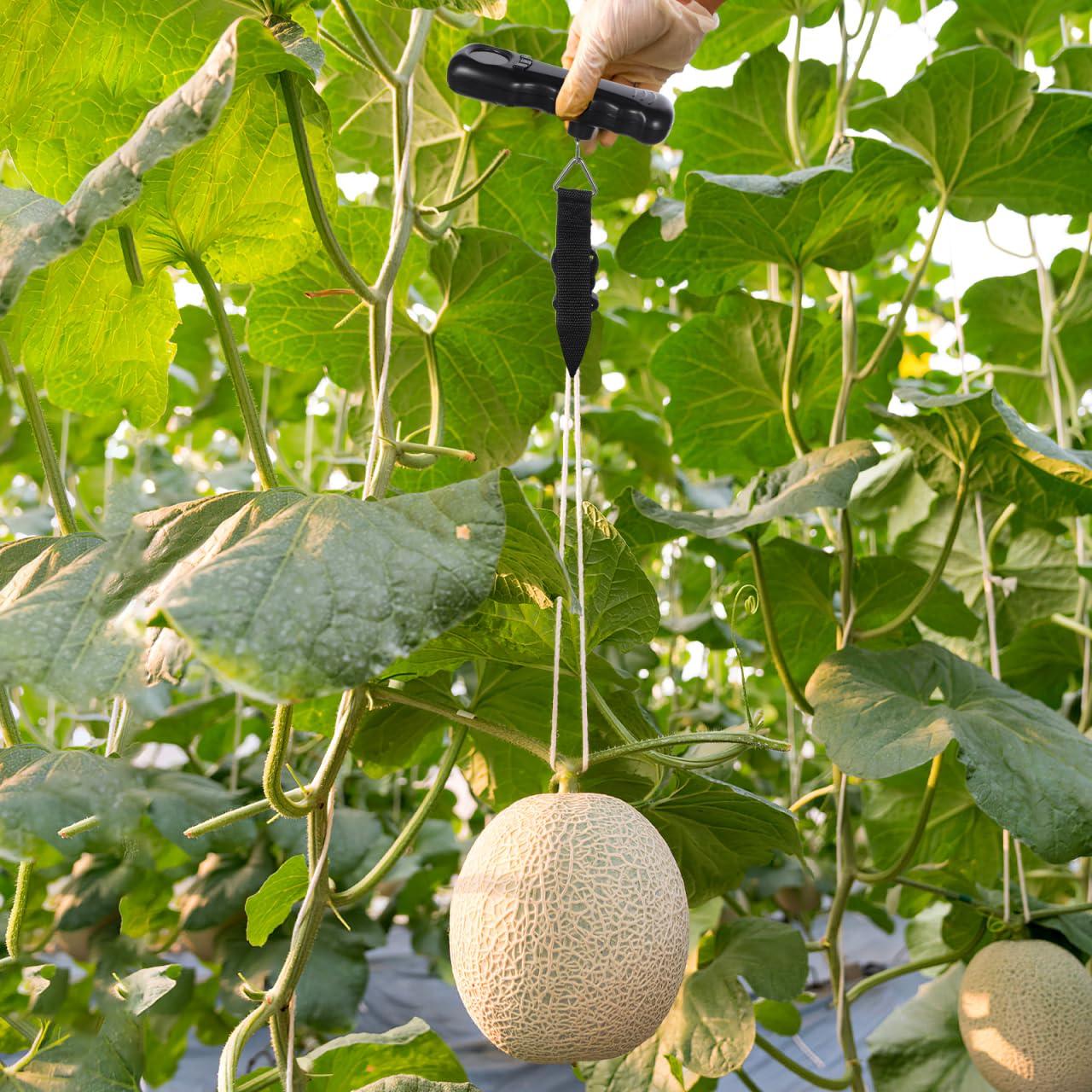 Balanza Digital de Equipaje BESPORTBLE Compacta 19x8cm