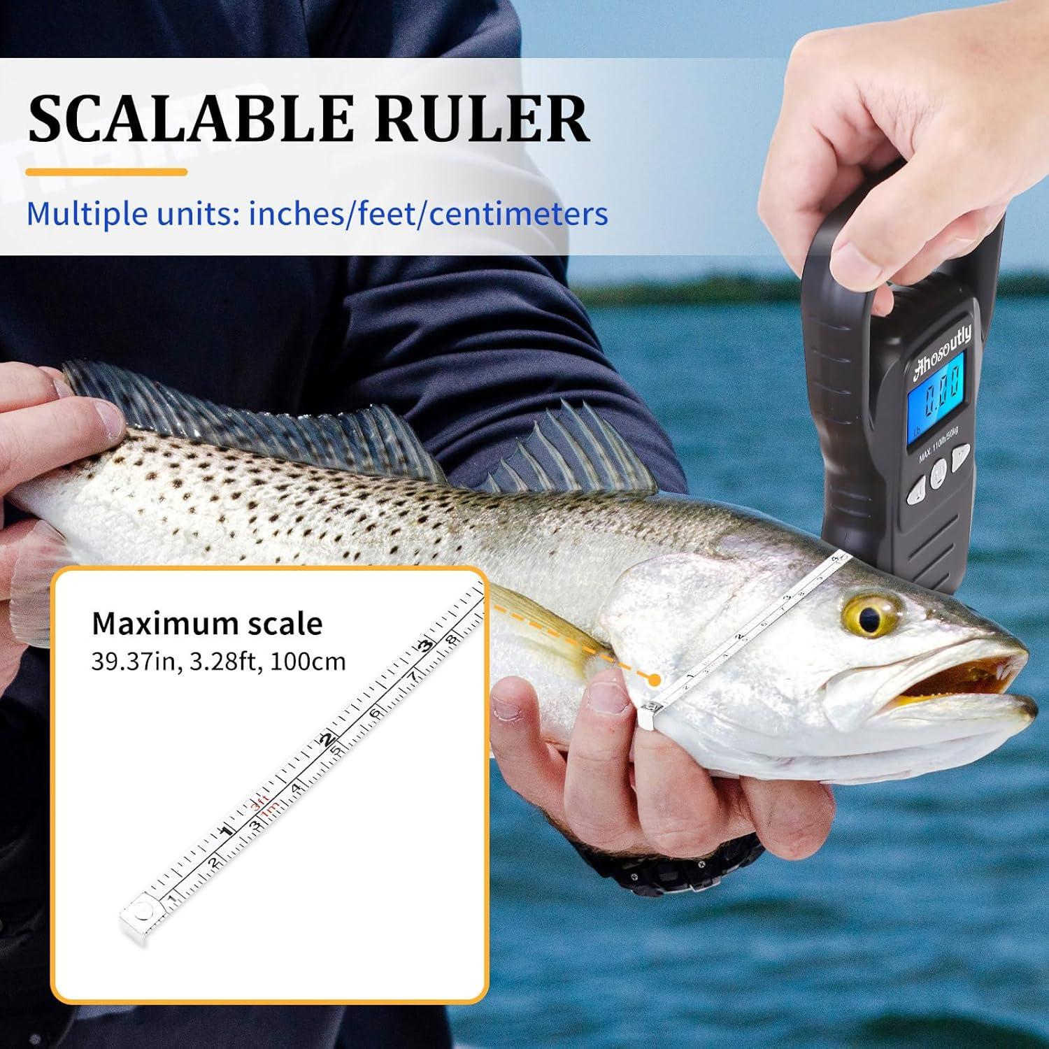 Escala Digital de Pescado AHOSOUTLY 50kg Pantalla LCD Grande