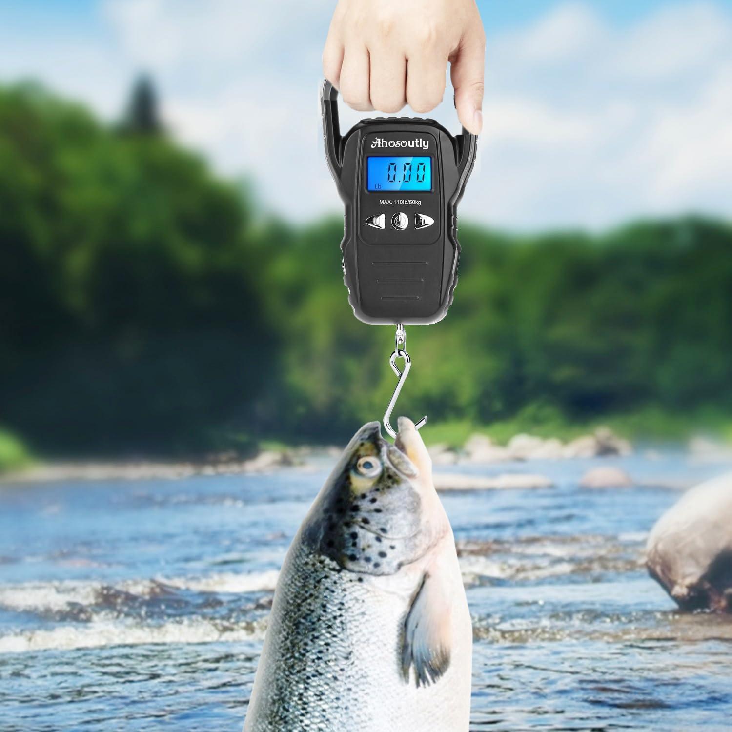 Escala Digital de Pescado AHOSOUTLY 50kg Pantalla LCD Grande