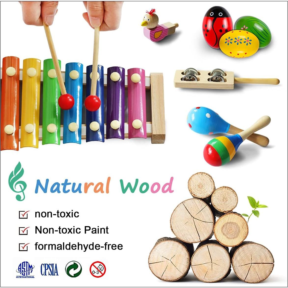 Set de Instrumentos Musicales LOOIKOOS para Niños 2.66 kg