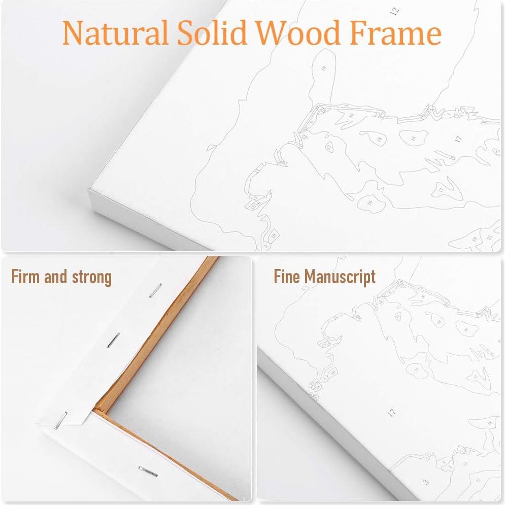 Kit de Pintura por Números Ginkko 23x30.5 cm Acrílico