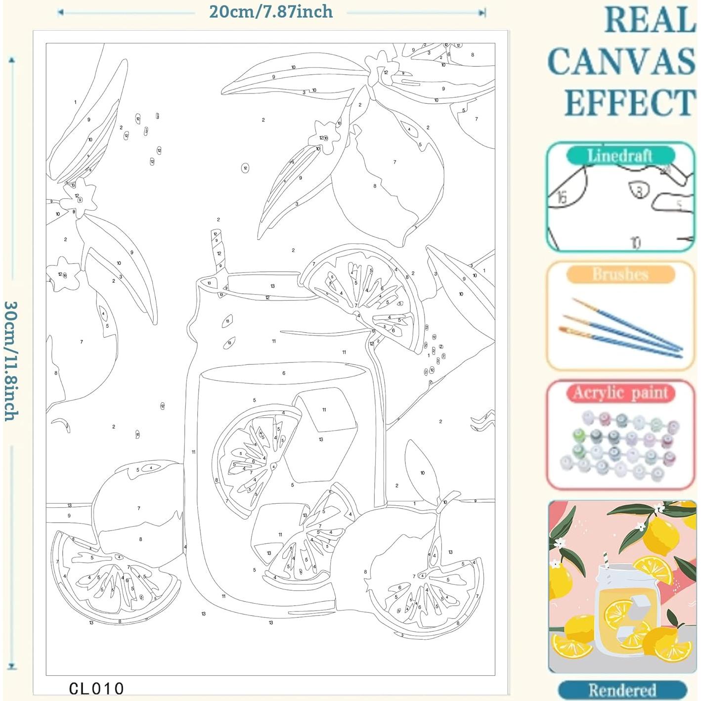 Kit de Pintura por Números CasaWeave 6 Paquetes Adultos 29.9x19.8cm