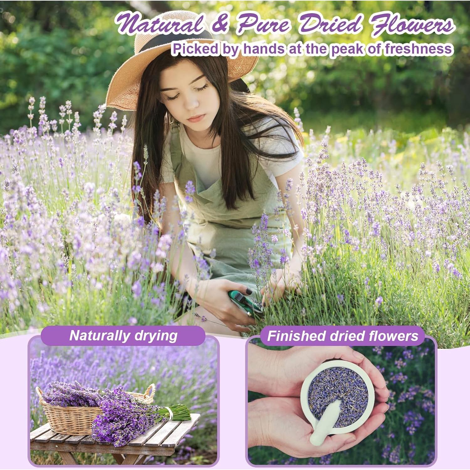 50 Bolsas de Flores Secas Naturales DreamdaMoonnly - Kit DIY