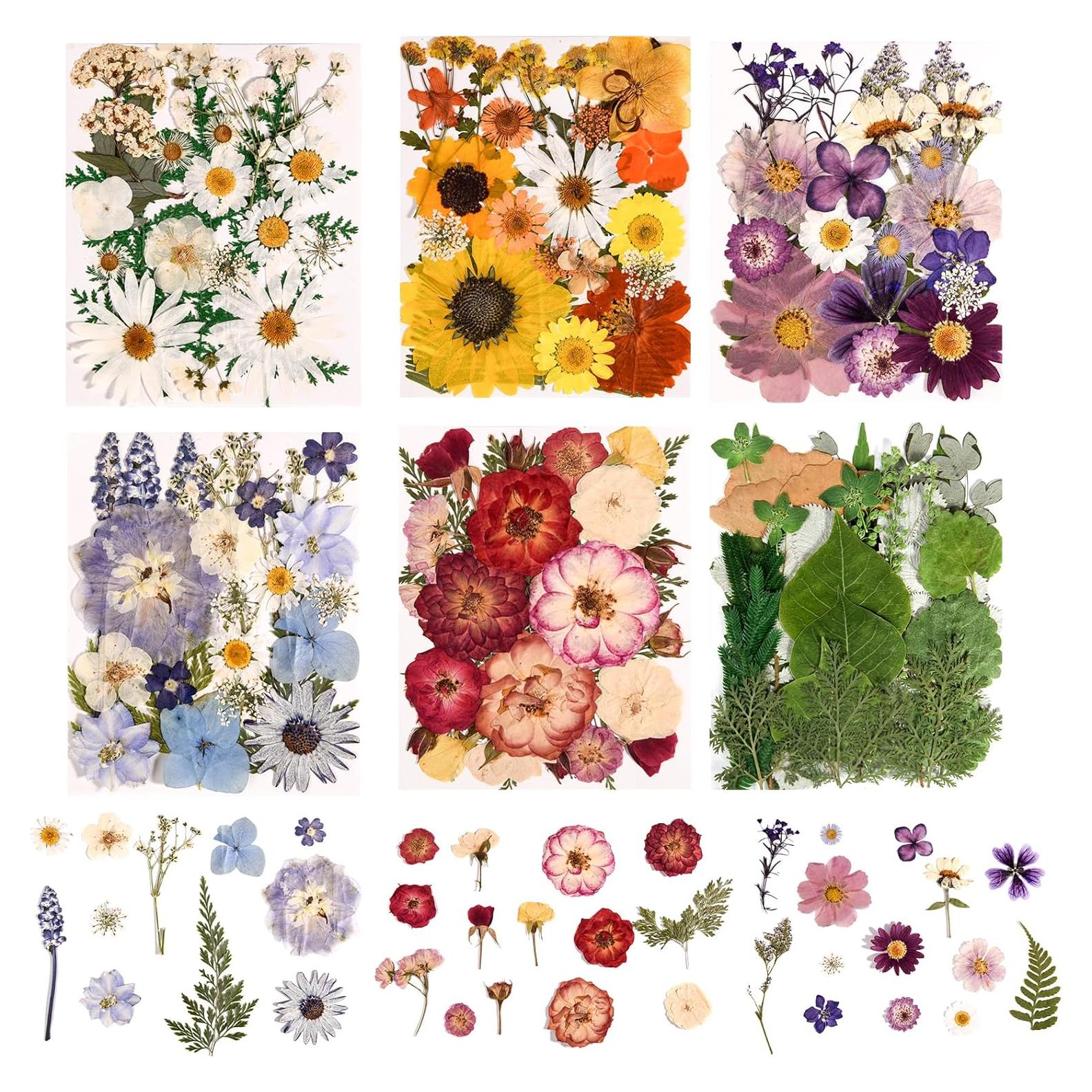 Kit de Flores Secas Presionadas Nisetten - 150 Piezas Coloridas