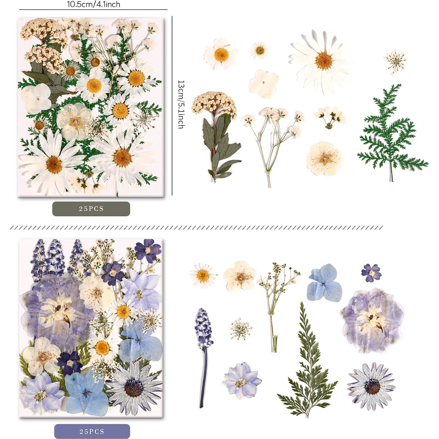 Kit de Flores Secas Presionadas Nisetten - 150 Piezas Coloridas