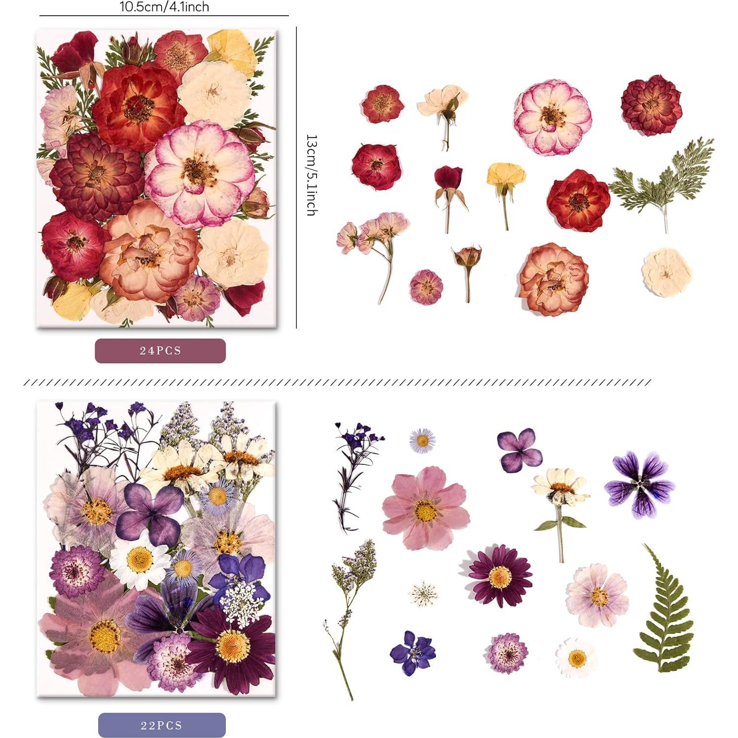 Kit de Flores Secas Presionadas Nisetten - 150 Piezas Coloridas