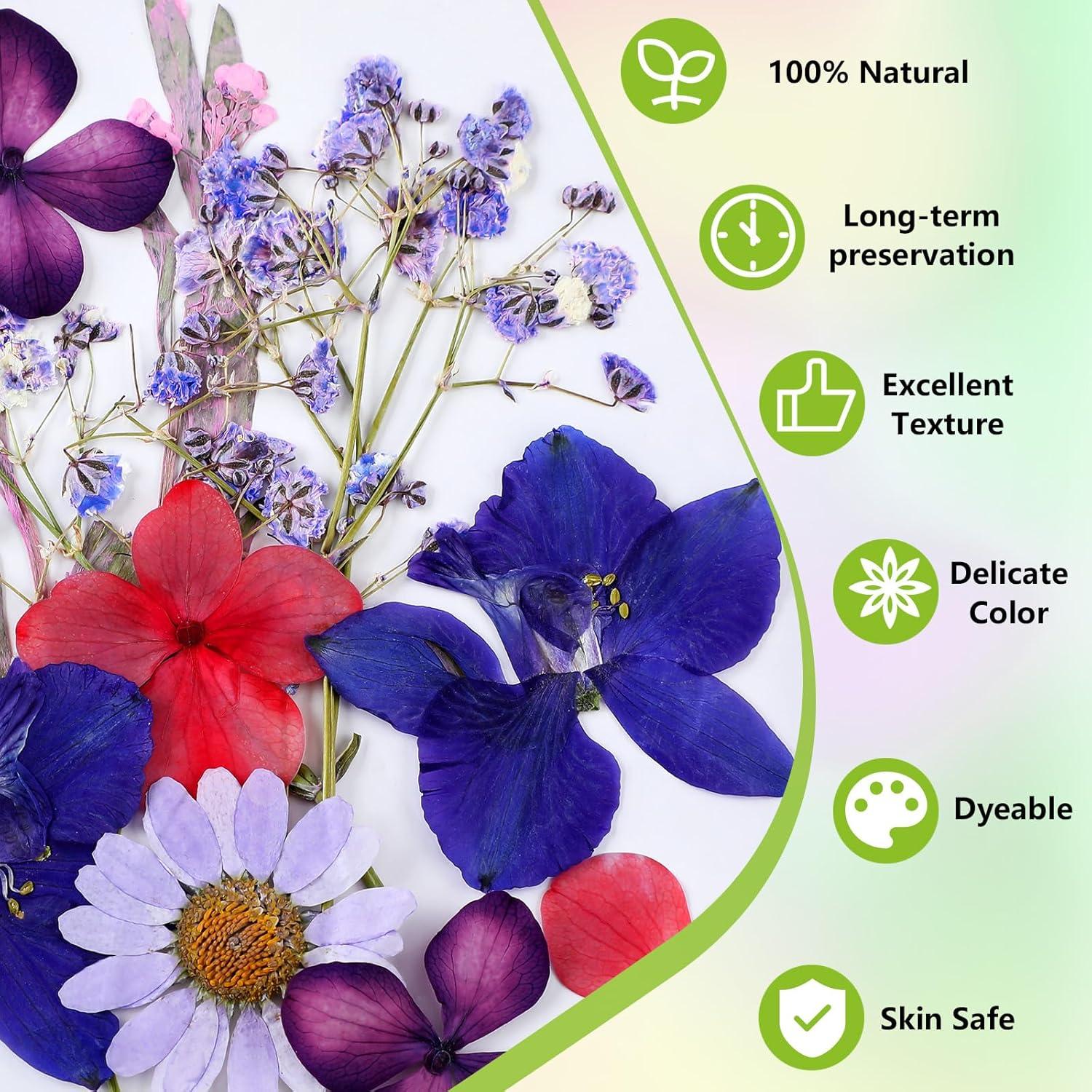 Kit de Pintura de Velas MTLEE 24 Piezas con Flores Secas