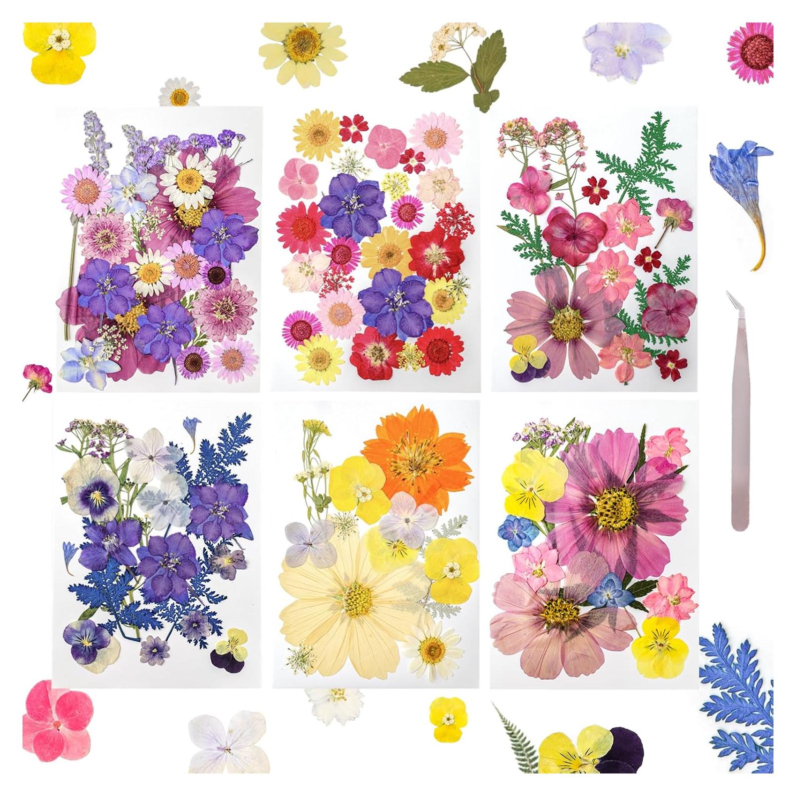 Kit de Flores Secas Prensadas Gvhntk 180 Piezas Coloridas