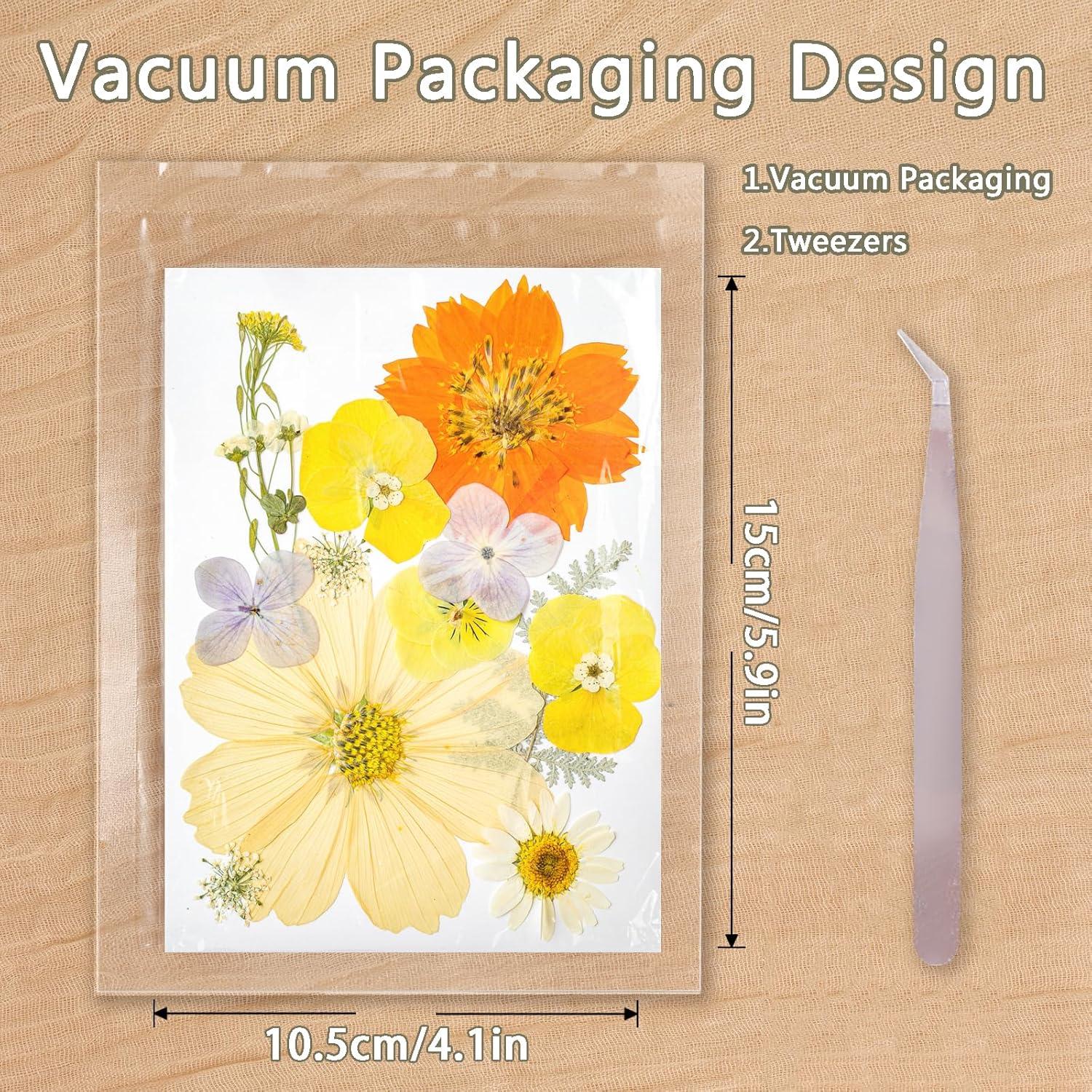 Kit de Flores Secas Prensadas Gvhntk 180 Piezas Coloridas