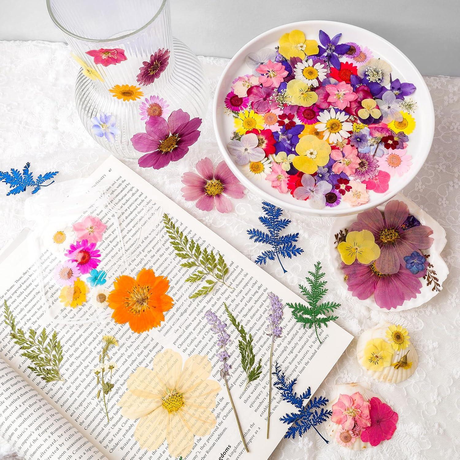 Kit de Flores Secas Prensadas Gvhntk 180 Piezas Coloridas