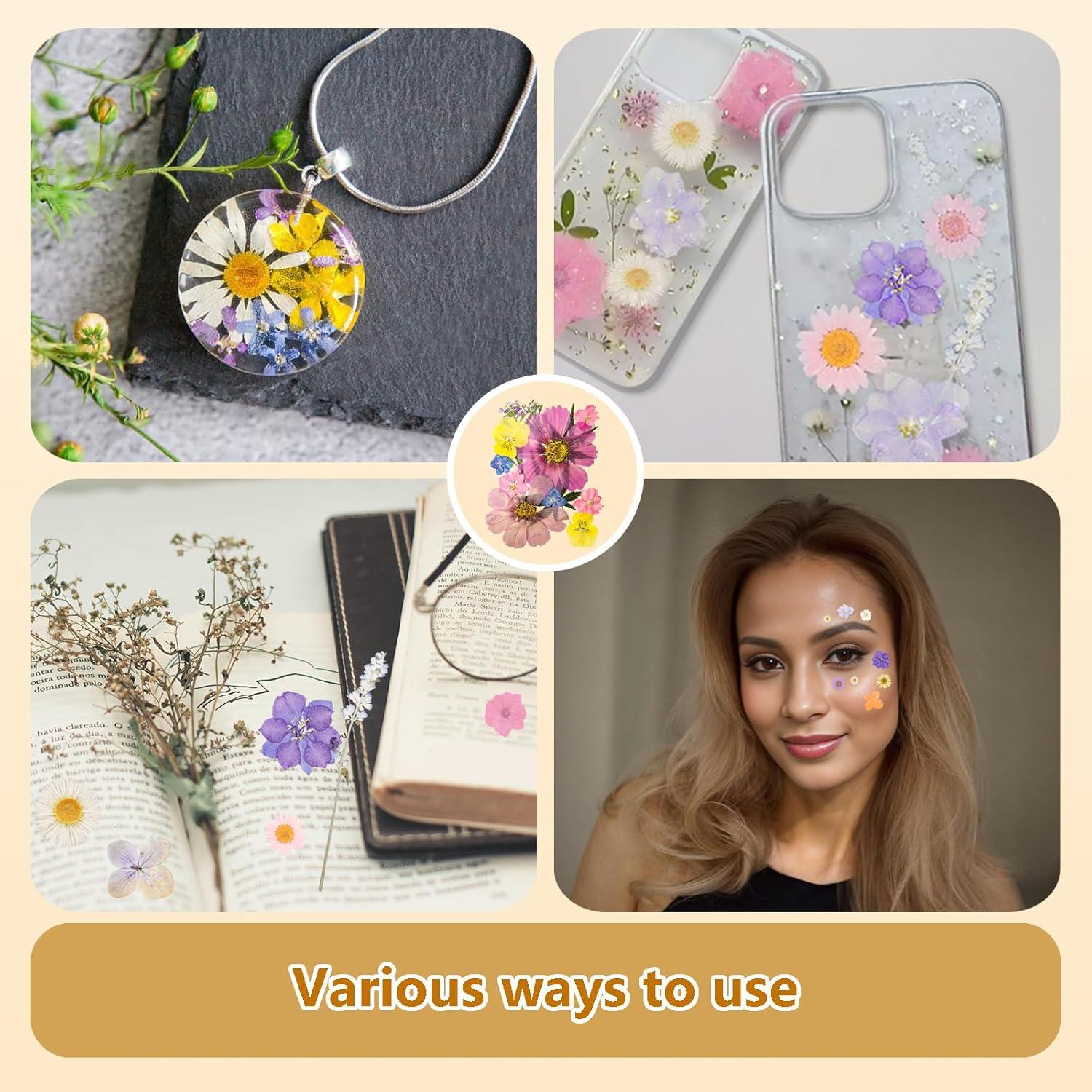 Kit de Flores Secas Prensadas Gvhntk 180 Piezas Coloridas