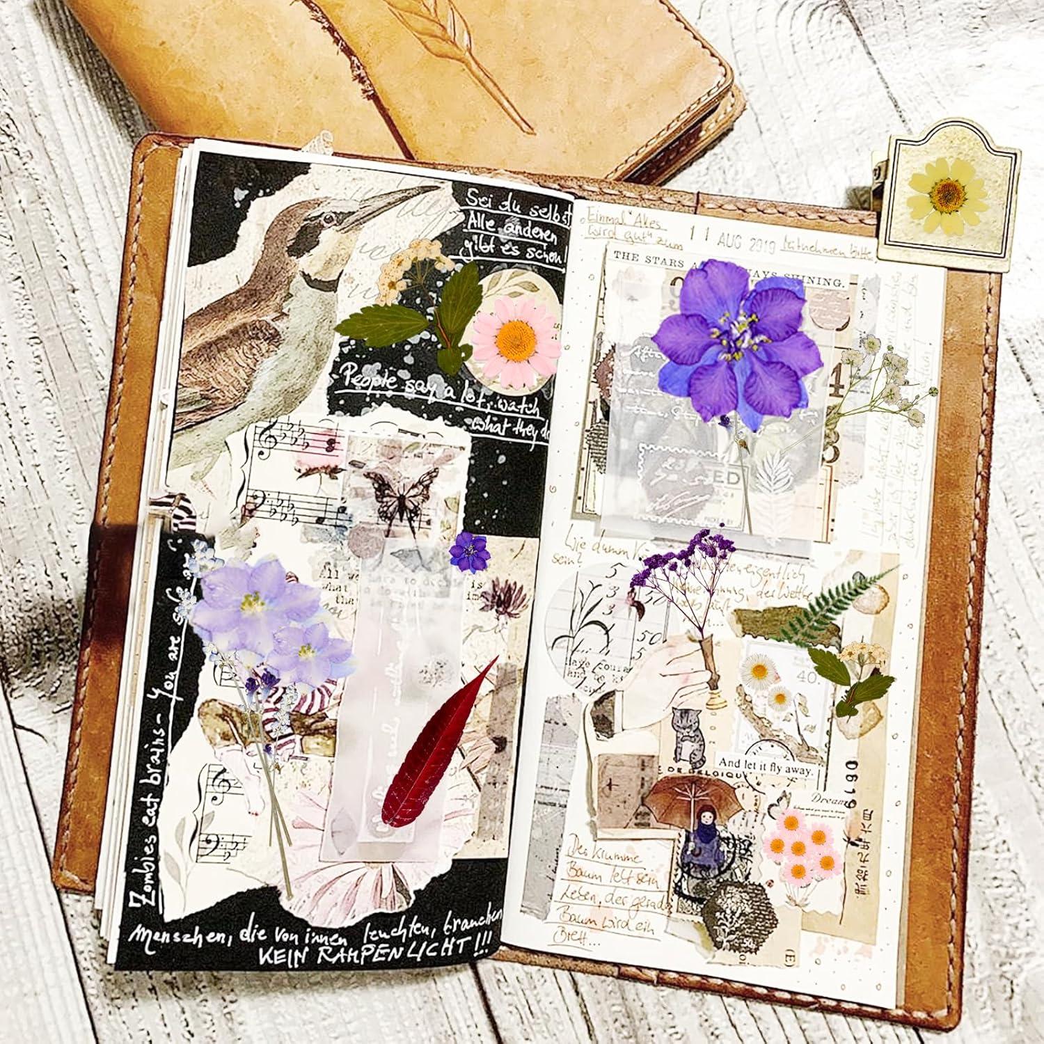 Kit de Flores Secas Prensadas Gvhntk 180 Piezas Coloridas