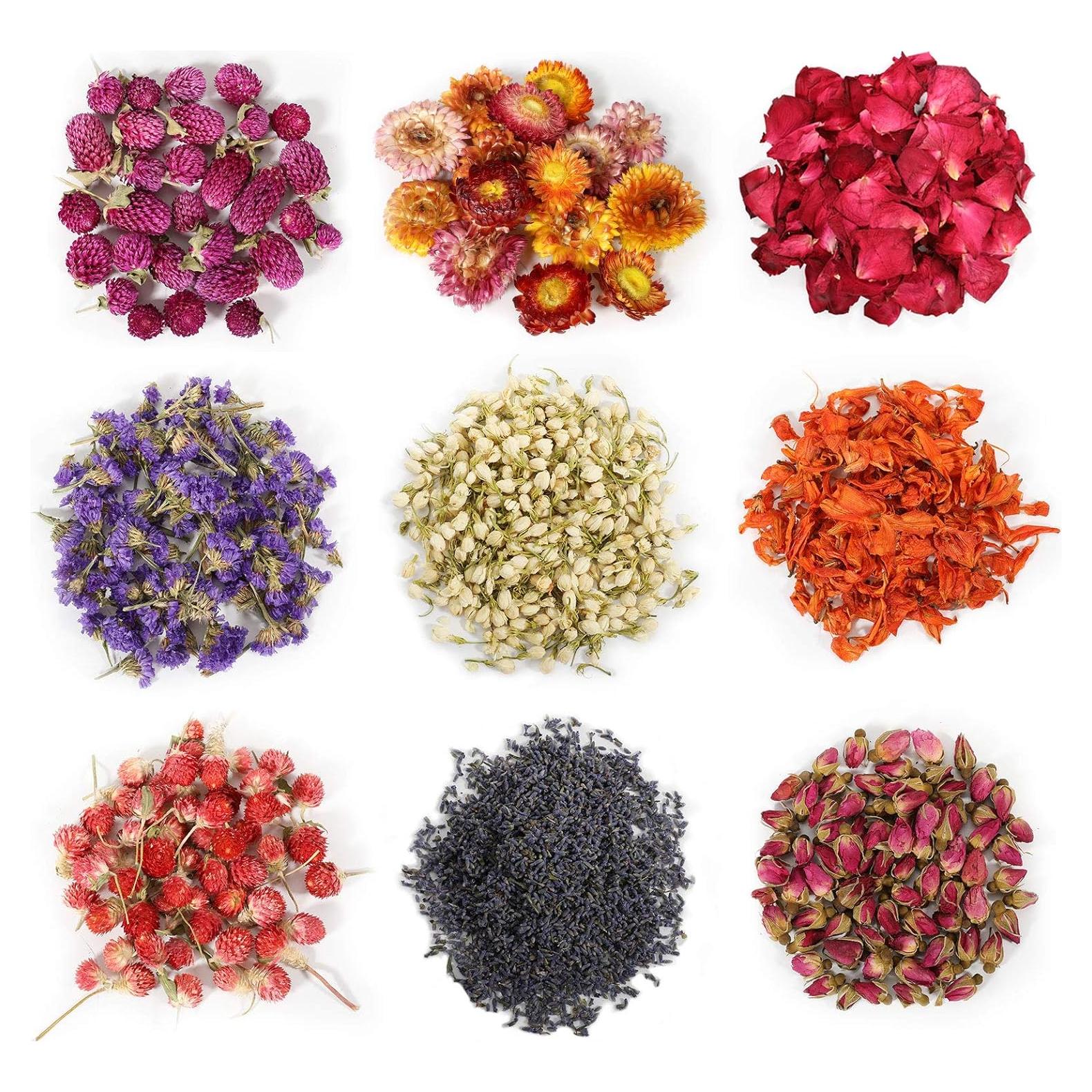 Kit de Flores Secas 100% Natural SACATR - 9 Bolsas de 7g