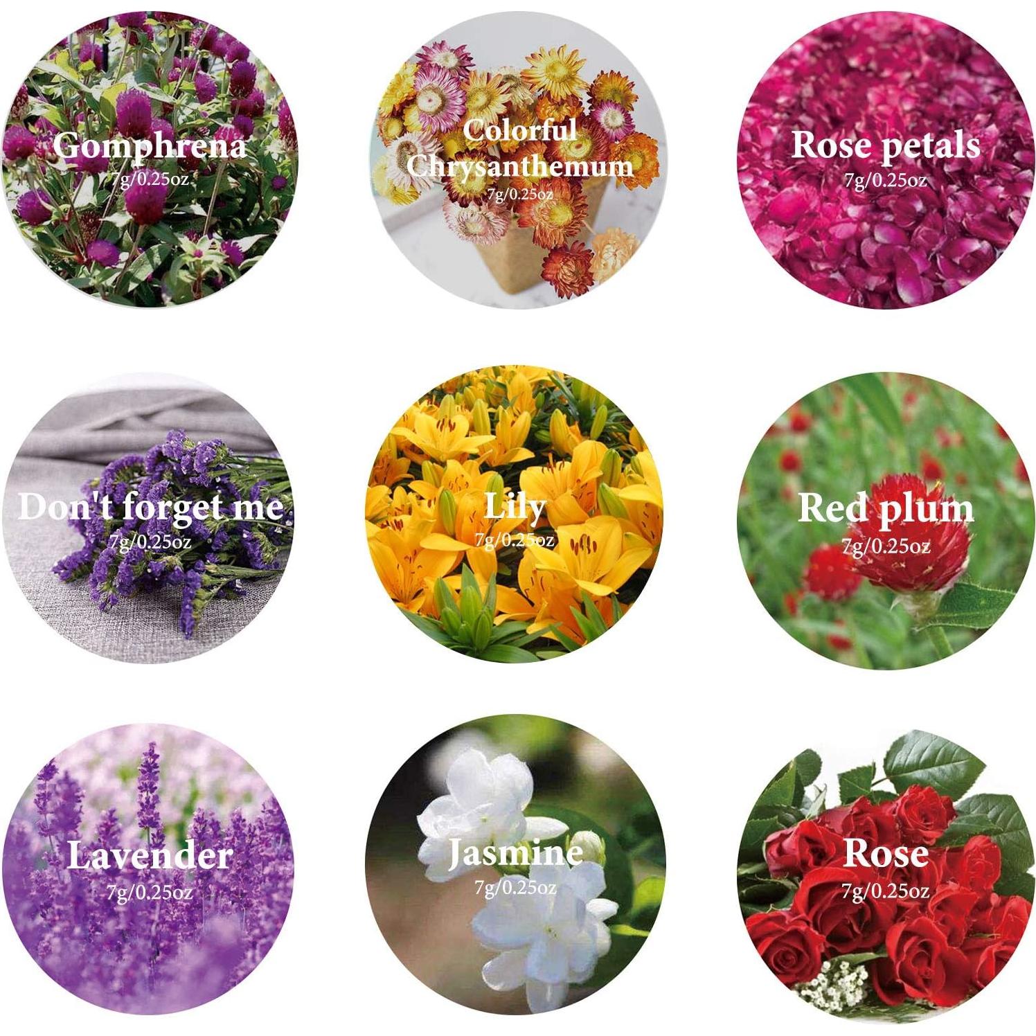 Kit de Flores Secas 100% Natural SACATR - 9 Bolsas de 7g