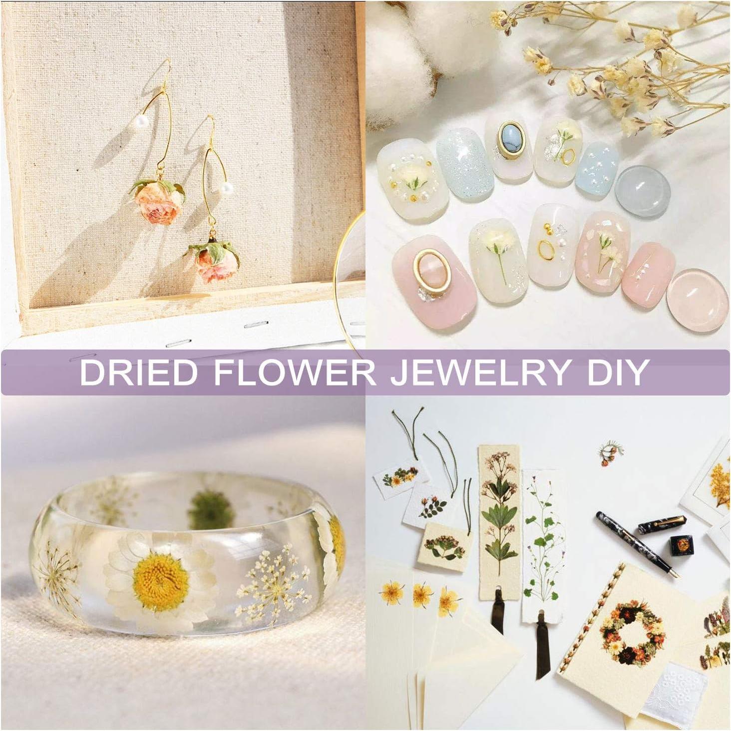 Kit de Flores Secas 100% Natural SACATR - 9 Bolsas de 7g