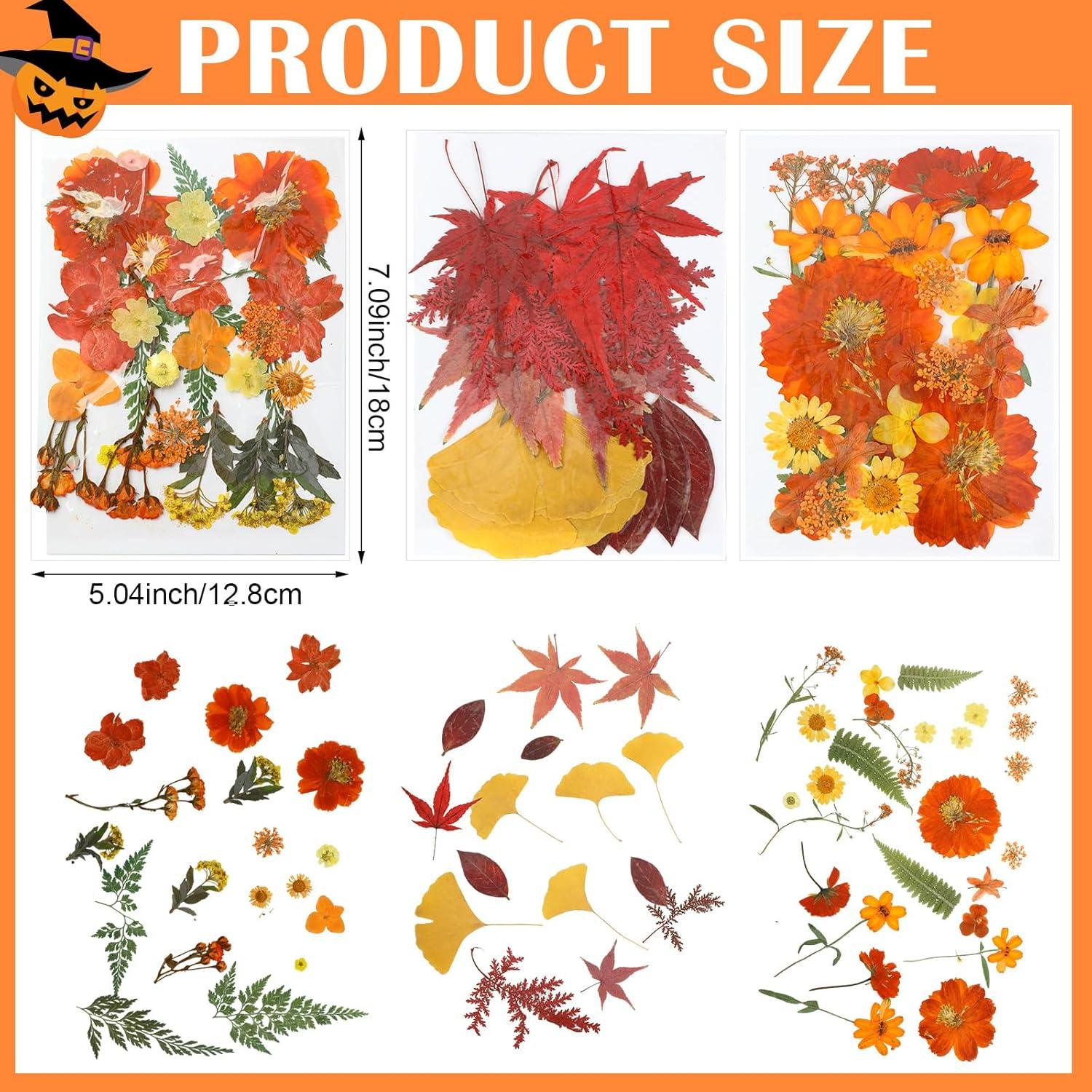 Kit de Moldes de Silicona Janinka para Velas Otoño 108 Pcs