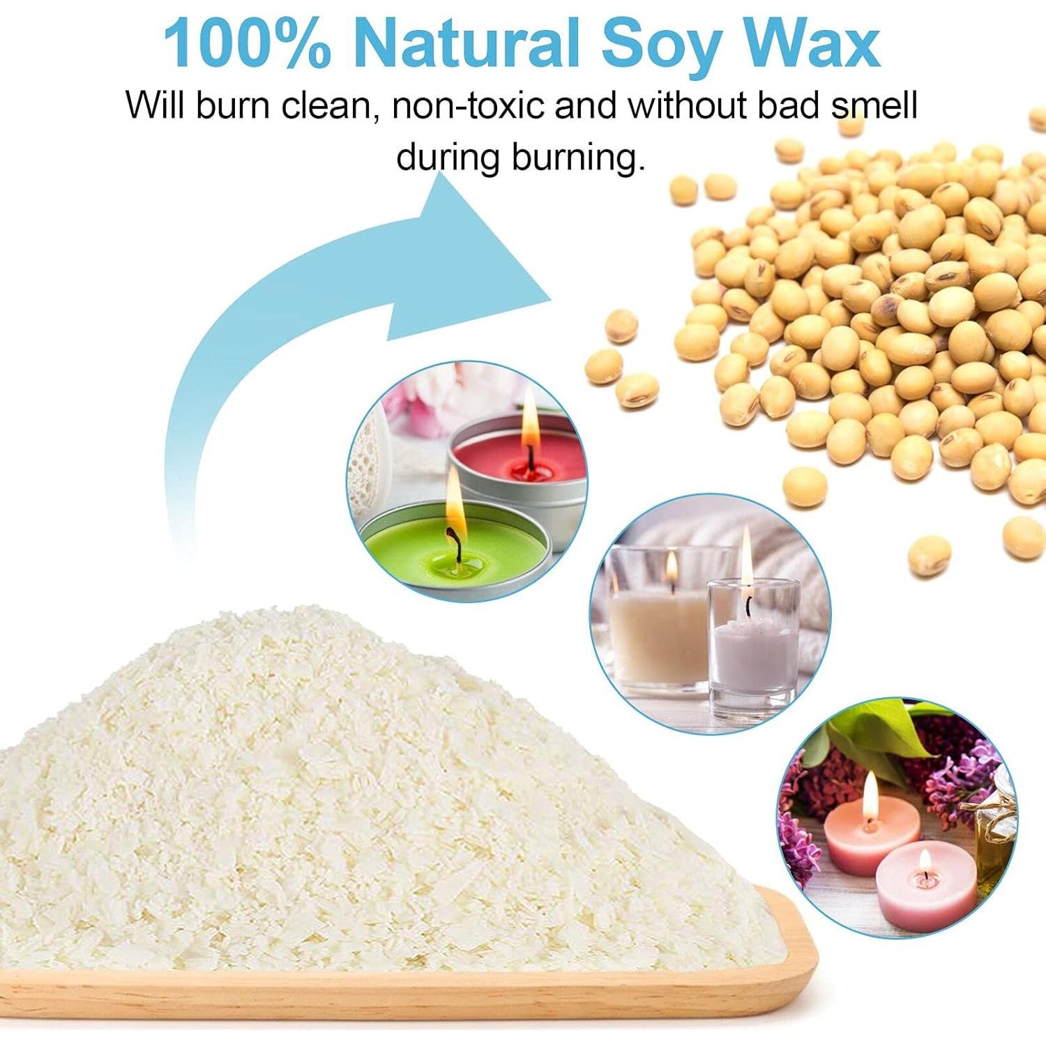 Kit para Hacer Velas DINGPAI - Olla 1300ml, Cera Soja, Mechas