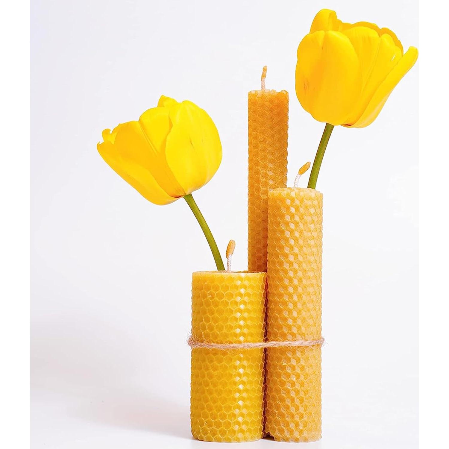 Kit de Hojas de Cera de Abeja Candleology - 10 Piezas DIY