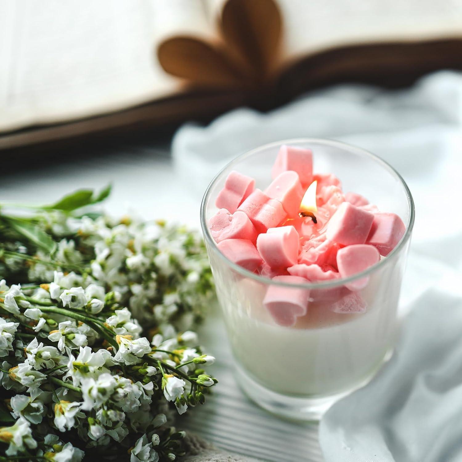 Tarros de Vela de Vidrio SHOWIN 12 Pcs 210 ml con Tapa de Madera