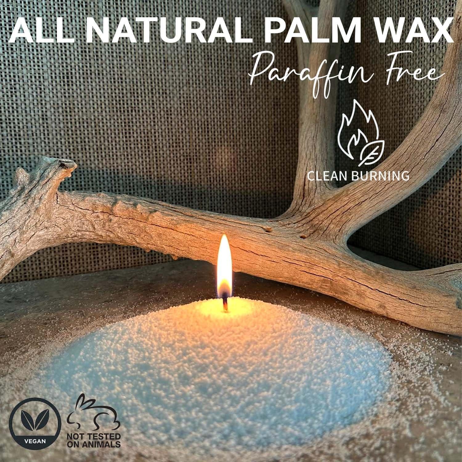 Kit de Fabricación de Velas Fiora Naturals - 30 Mechas, 510g Cera