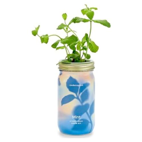 Kit de Cultivo Hidropónico Modern Sprout - Tarro de Jardín Menta