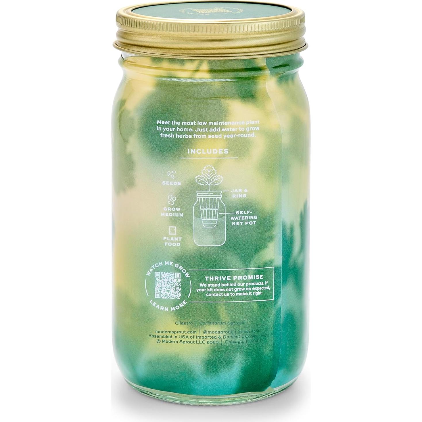 Kit de Cultivo Hidropónico Modern Sprout - Tarro de Jardín Menta