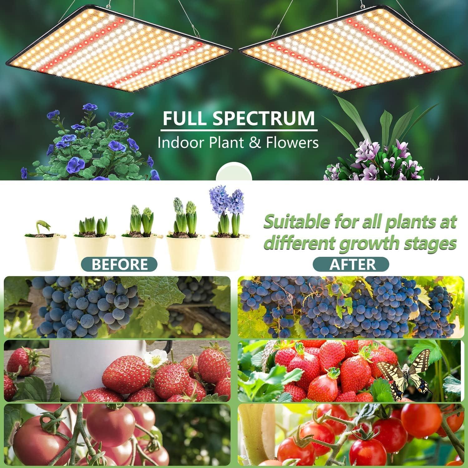 Luz de Crecimiento LED BAVIHOR Sunlike 200W 2-Pack Espectro Completo