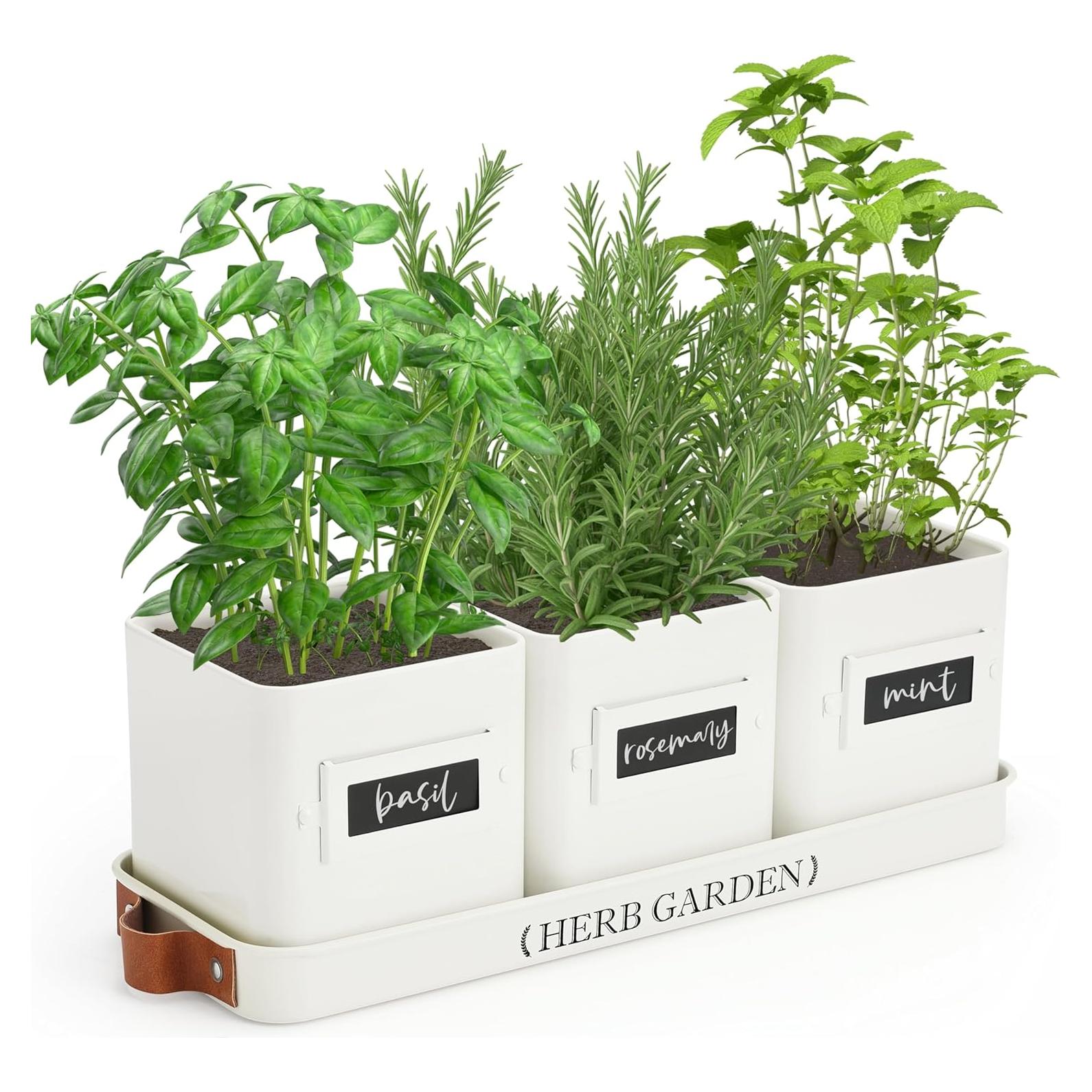 Macetas de Hierbas PERFNIQUE con Bandeja - Estilo Campestre Blanco