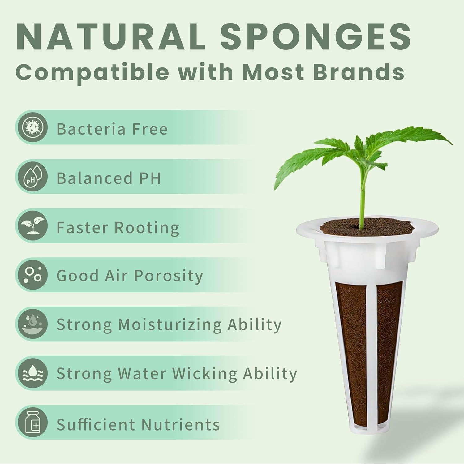 Kit de Cultivo Hidropónico Homeleafy 122 Pcs con Nutrientes