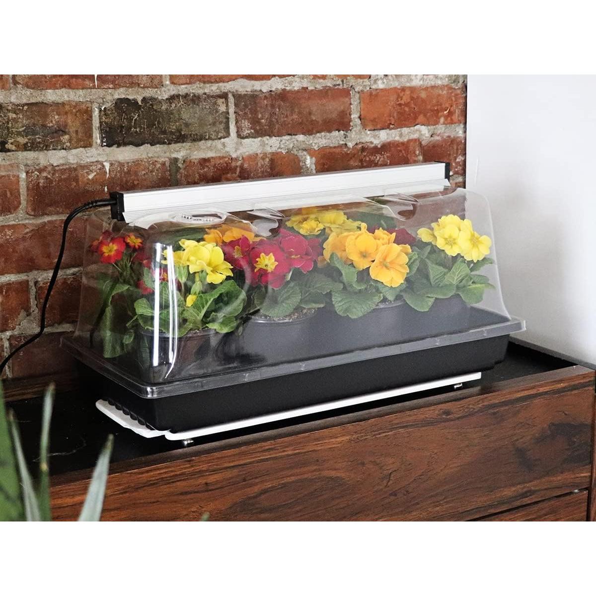 Kit Mini Invernadero LED SunBlaster 55x25x30 cm con Soporte