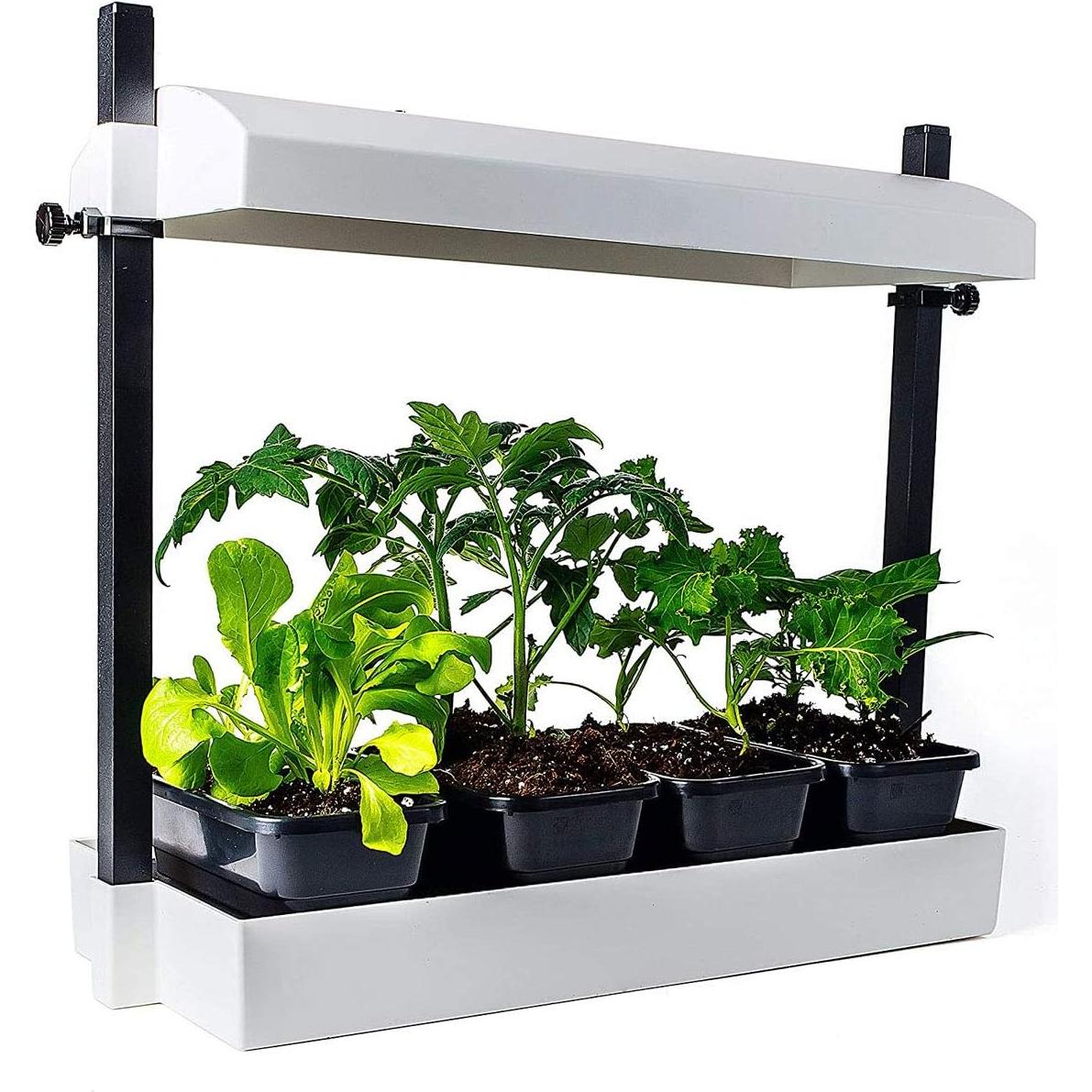 Kit Jardín Interior SunBlaster SL1600219 LED Auto-regante