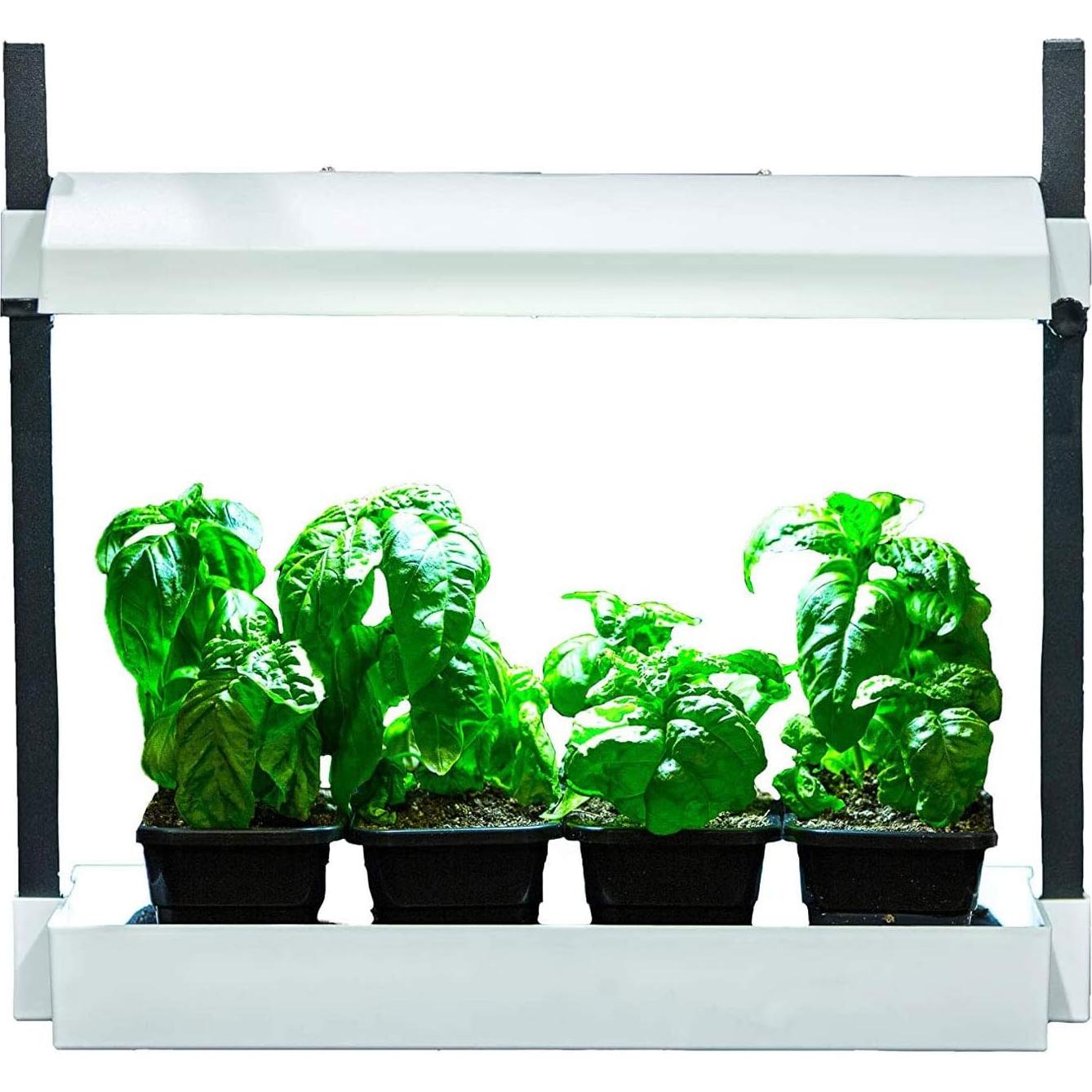 Kit Jardín Interior SunBlaster SL1600219 LED Auto-regante