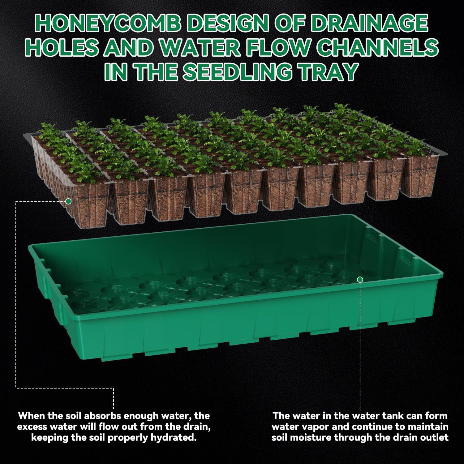 Kit de Inicio de Semillas HEbsjjhd con Luz de Crecimiento y Domo