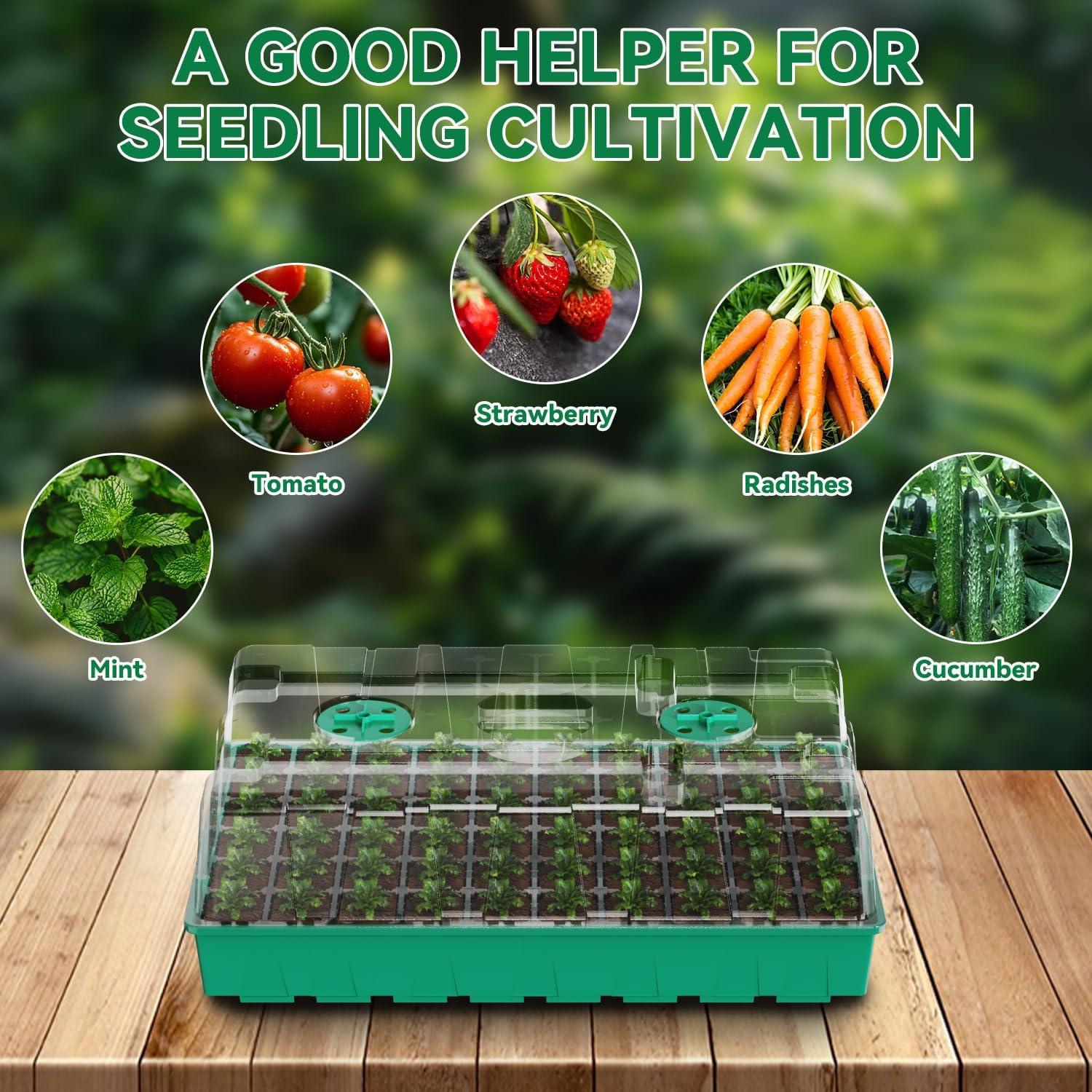 Kit de Inicio de Semillas HEbsjjhd con Luz de Crecimiento y Domo