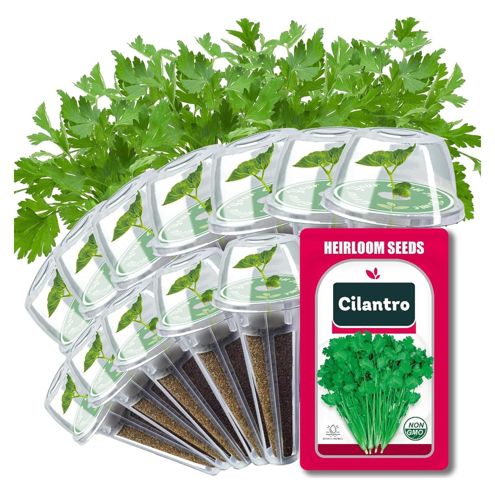 Kit de Vasos de Semillas HiHOYA para Cilantro - 12 Unidades