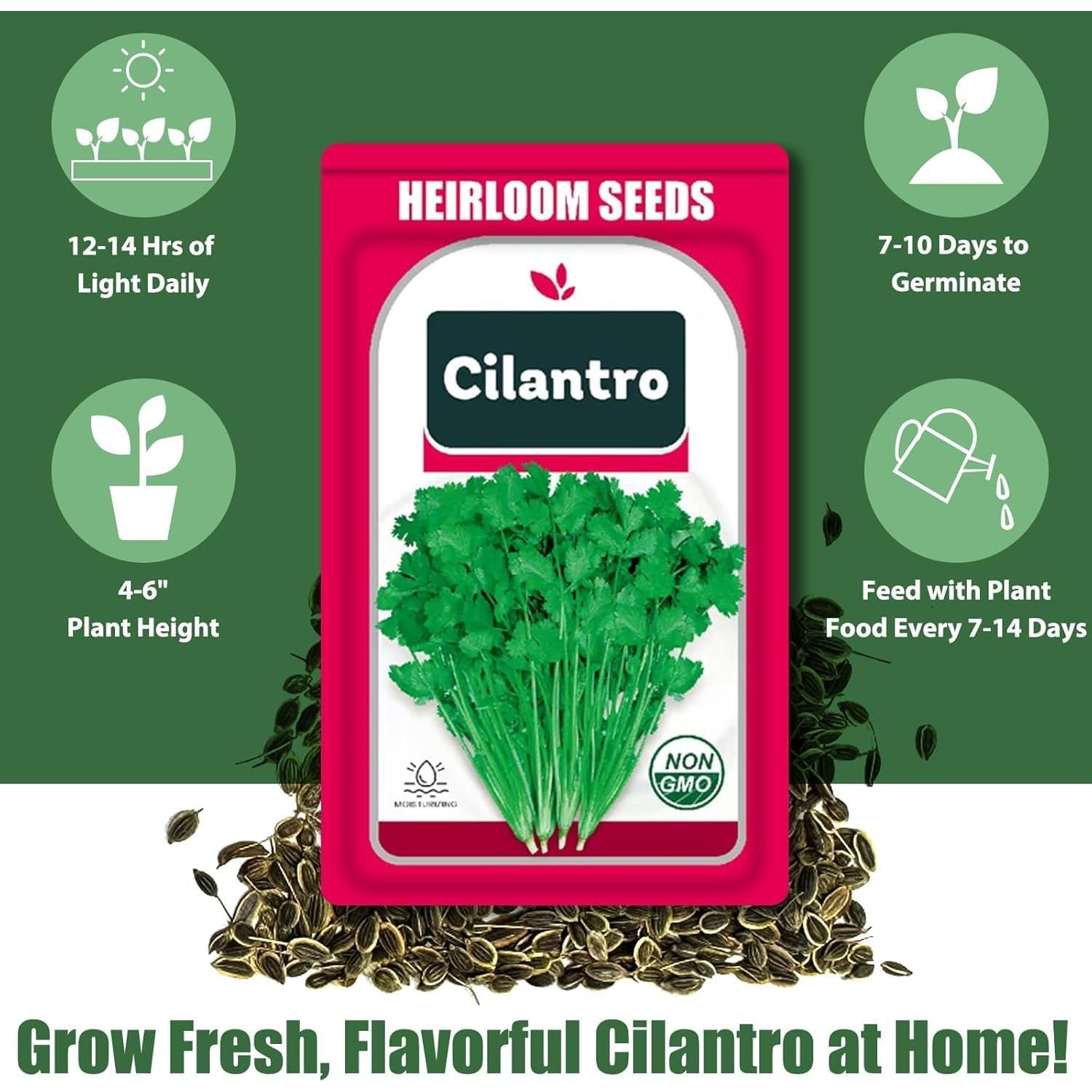 Kit de Vasos de Semillas HiHOYA para Cilantro - 12 Unidades