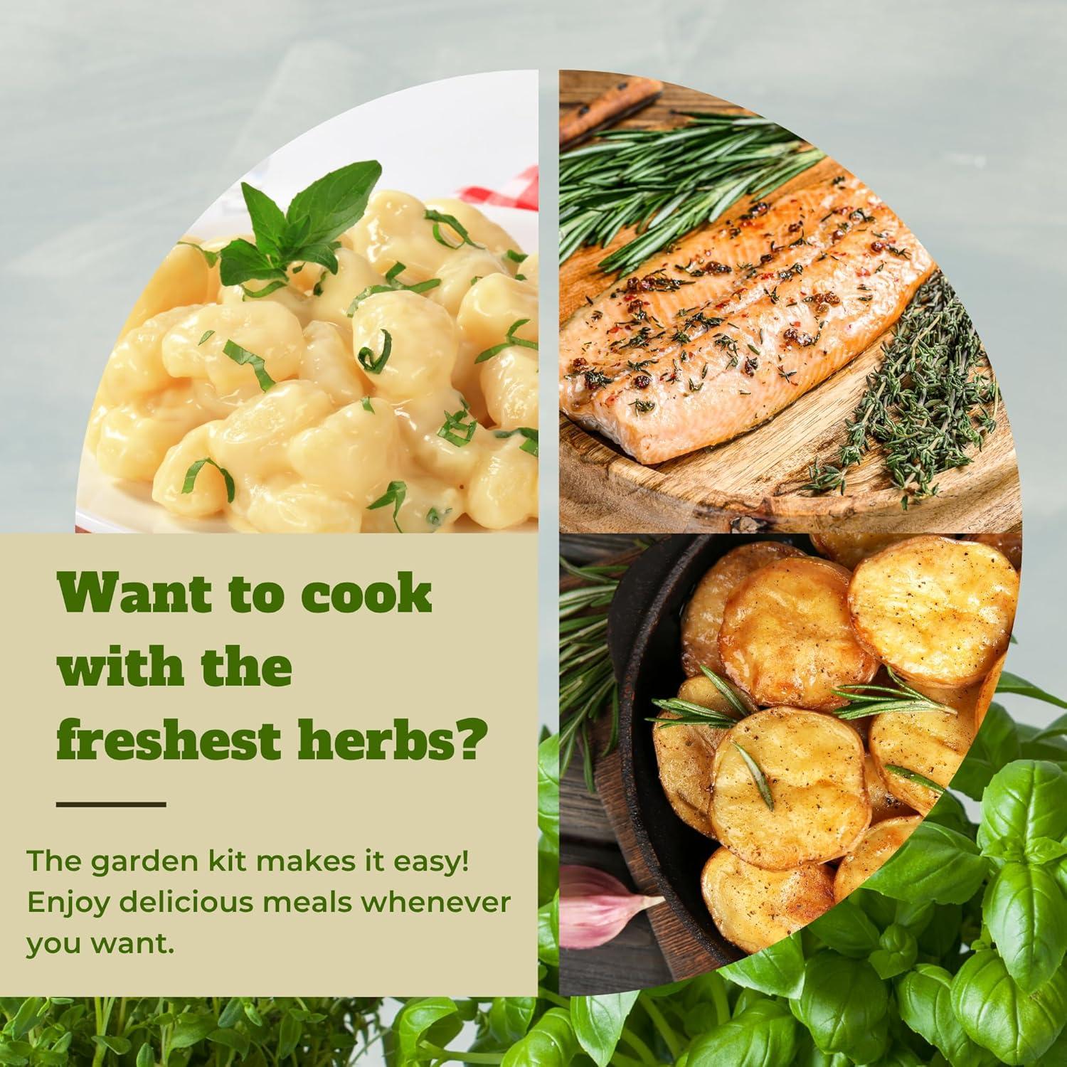 Kit de Jardín de Hierbas de Interior Environet - 10 Variedades Orgánicas