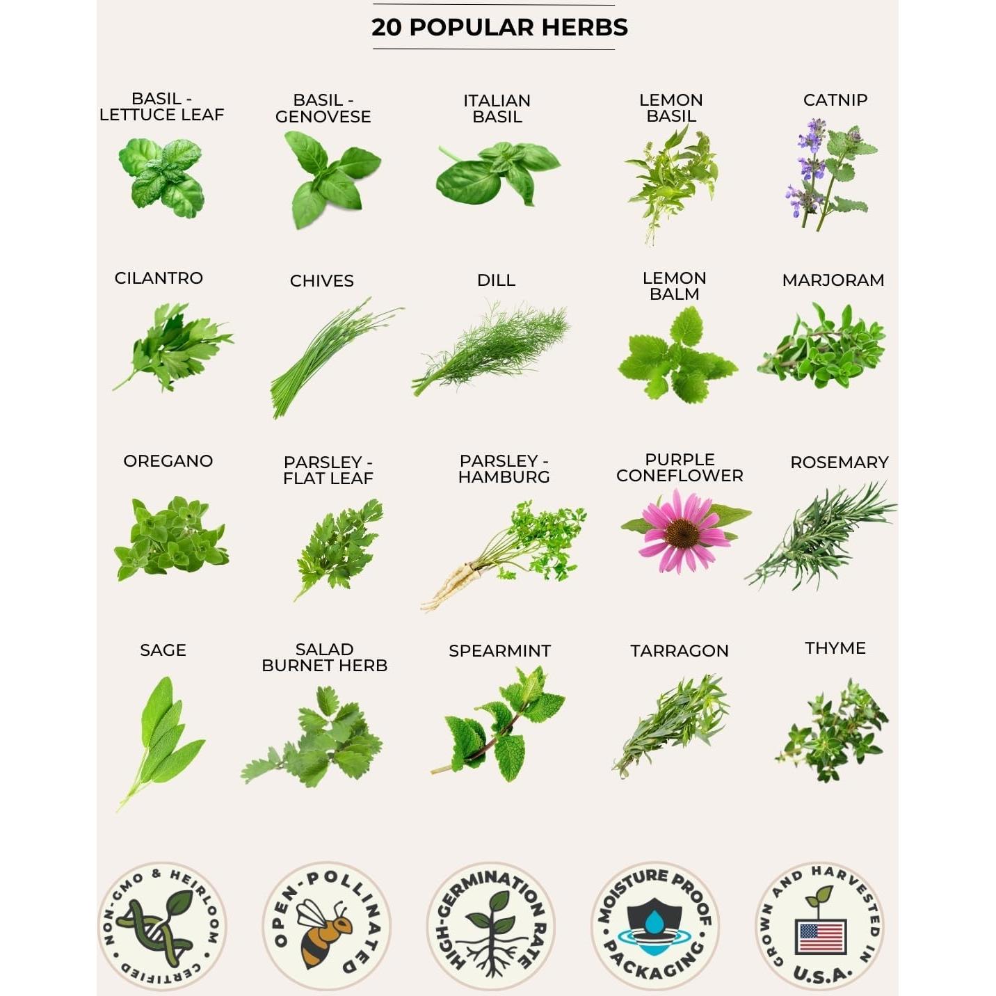 Kit de Semillas Medicinales Tactiko - 60 Variedades No Transgénicas