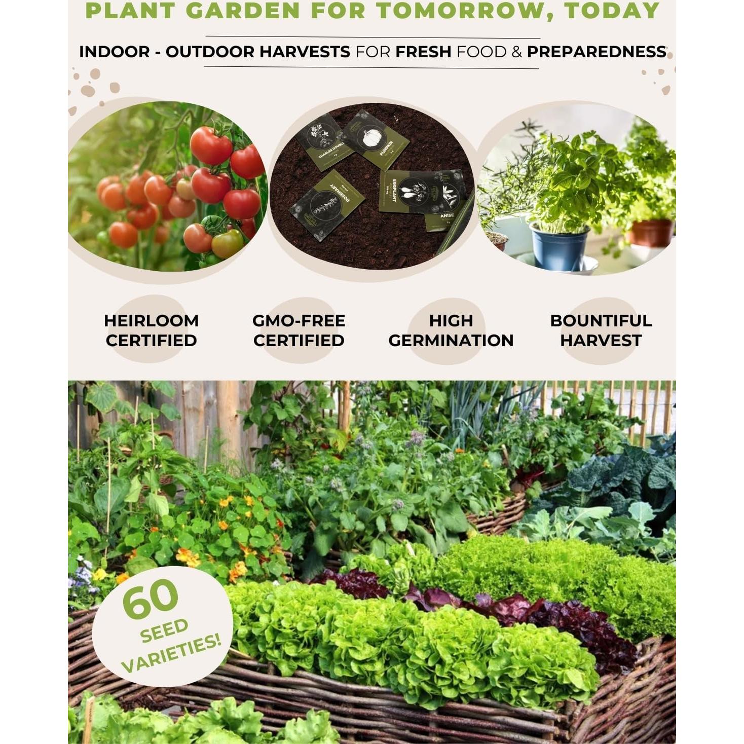 Kit de Semillas Medicinales Tactiko - 60 Variedades No Transgénicas