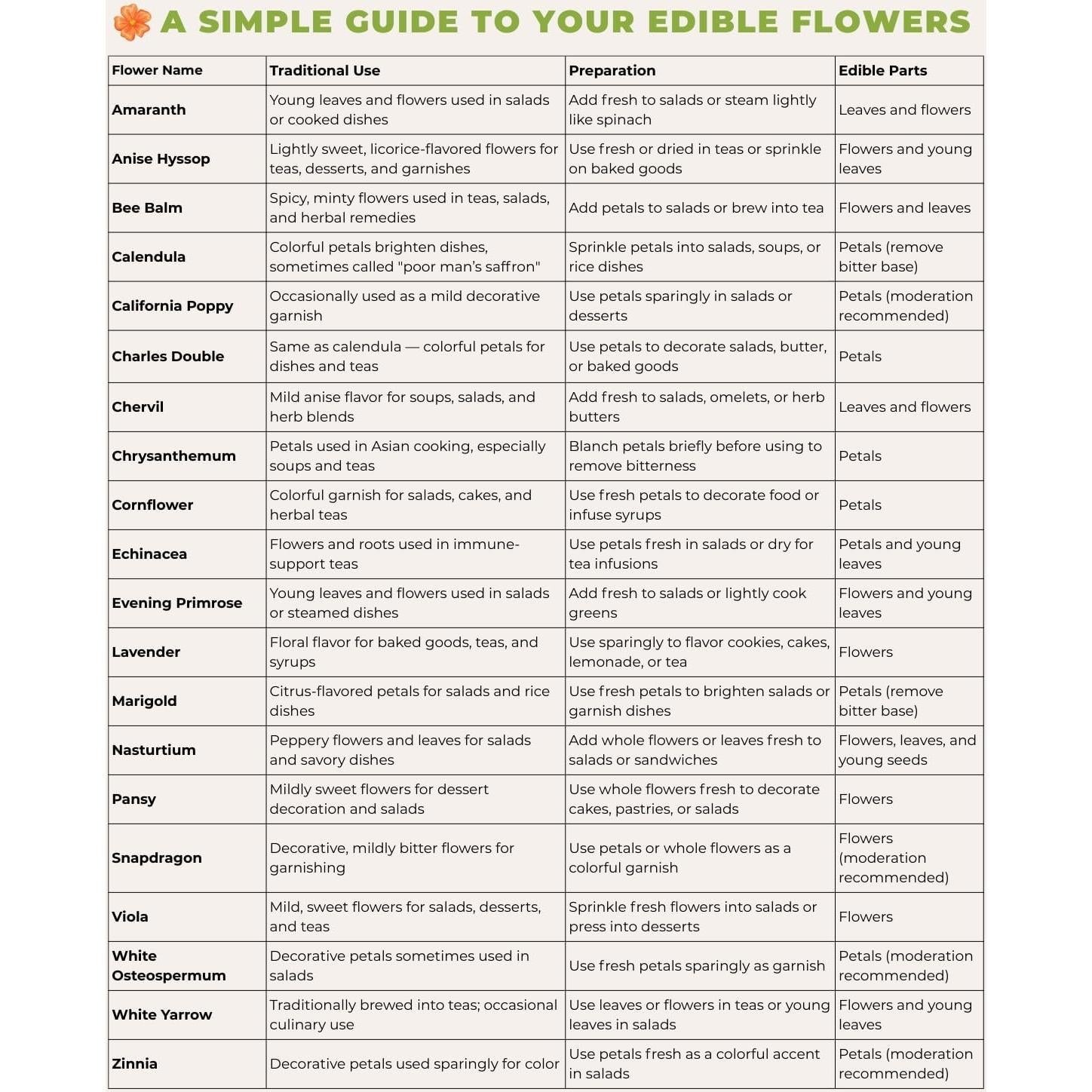 Kit de Semillas Medicinales Tactiko - 60 Variedades No Transgénicas