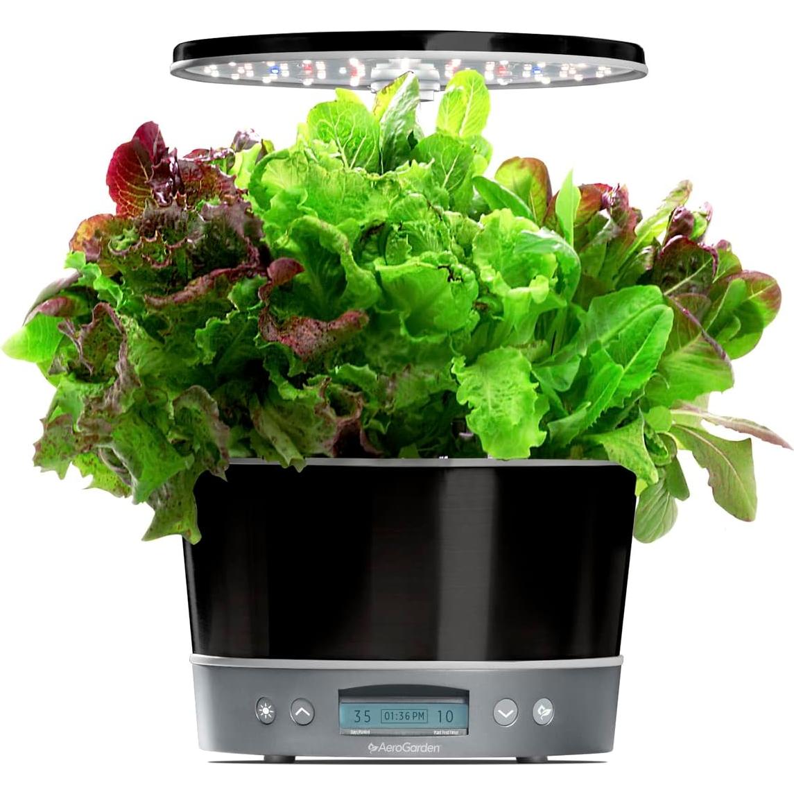 AeroGarden Harvest Elite 360 Jardín Hidropónico Interior Platino