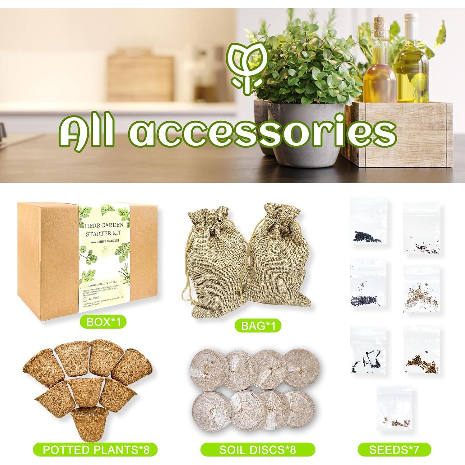 Kit de Jardín de Hierbas Ushine - 7 Semillas y Accesorios