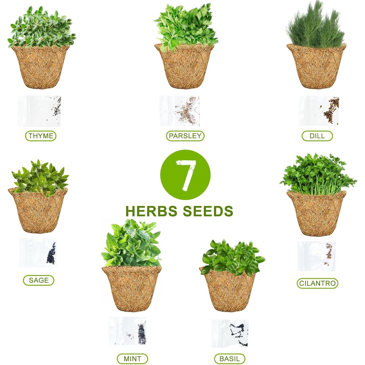 Kit de Jardín de Hierbas Ushine - 7 Semillas y Accesorios